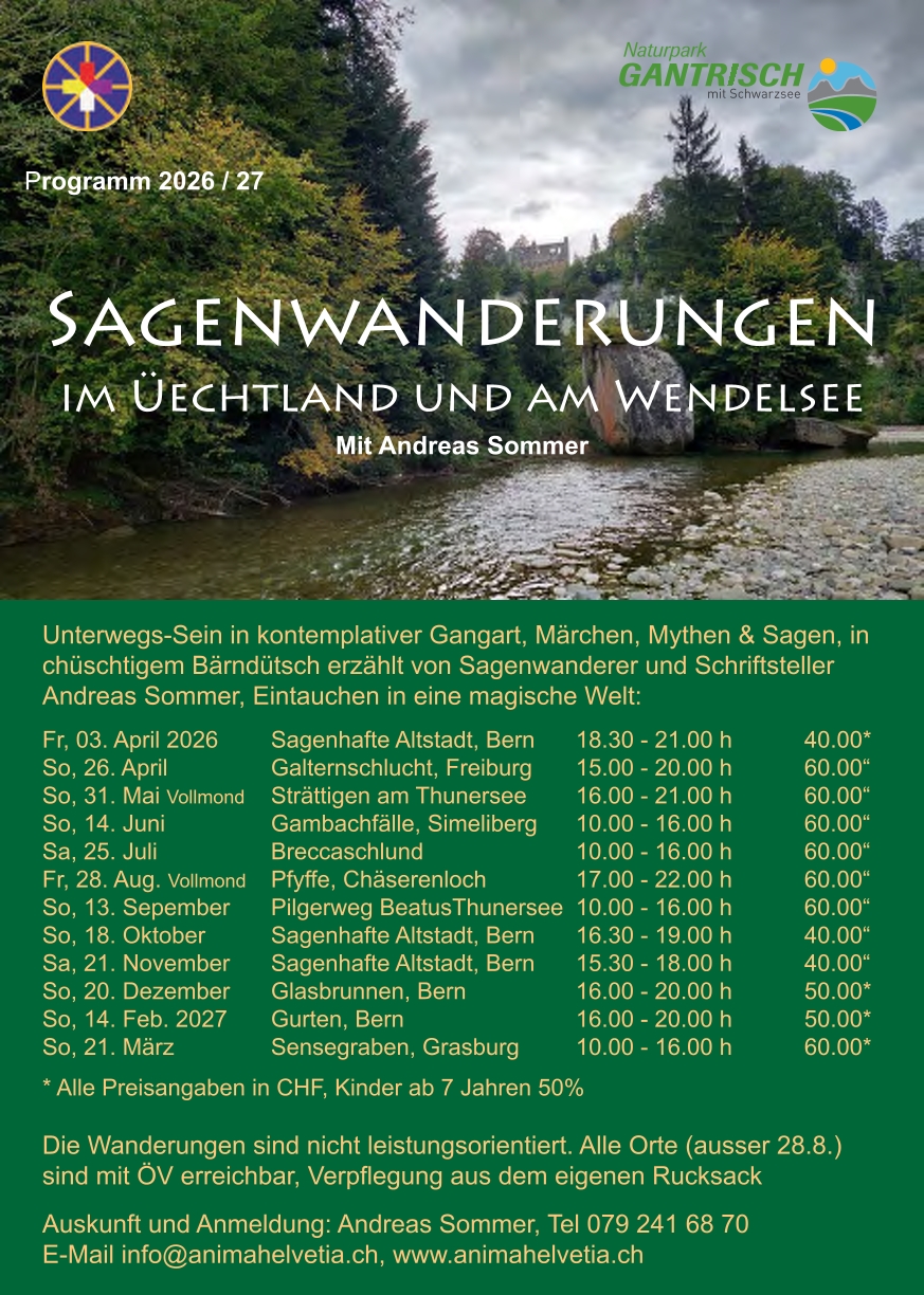 Magische Drachenhöhle 2